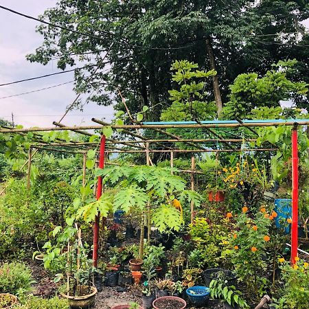 Atocha Homestay - Terong@Taiping Kampong Salak Экстерьер фото